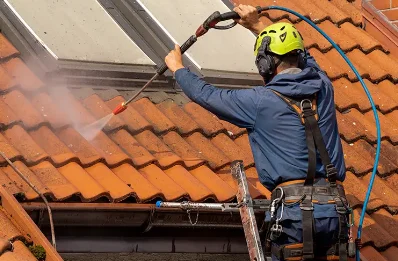 Démoussage et hydrofuge de toiture à Trogues